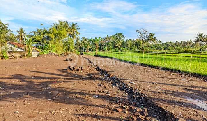 Tanah Palagan Area Pandowoharjo Siap Bangun View Sawah