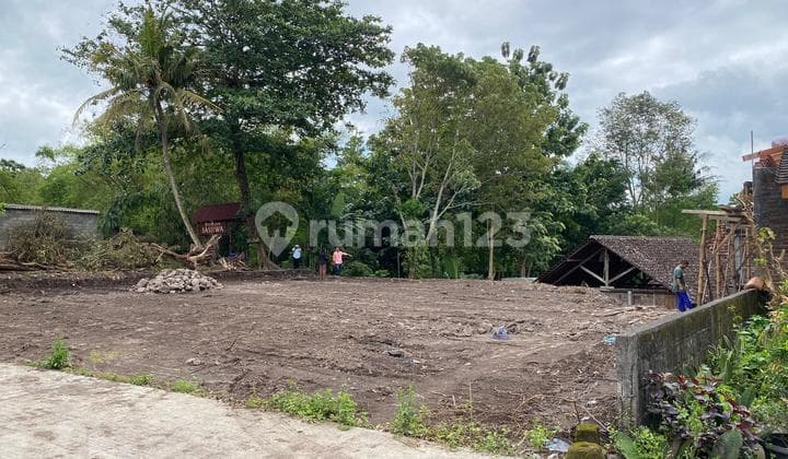 Tanah SHM Sleman Area Kampus Uii Dekat Jl Kaliurang-Palagan