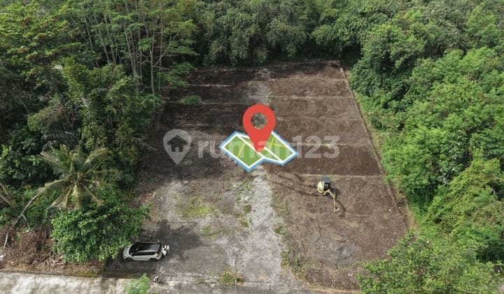 Tanah Sleman Dekat Jl Maelang Area Pemda Sleman Siap AJB