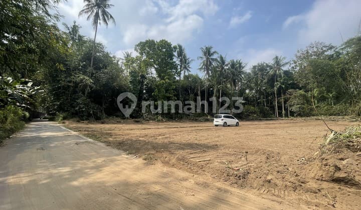 Bisa Tempo Tanah Dekat Jl. Magelang 3 Menit Pasar Sleman