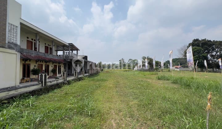 Bisa Tempo Tanah Pandowoharjo Area Palagan Utara Jejamuran