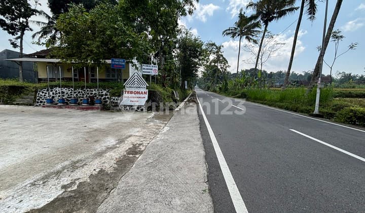Pakem Land 3 Minutes Coffee Klothok Broken Per Unit