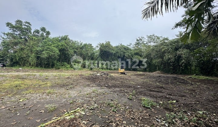 Tanah Jogja SHM Lokasi Favorit Dekat Sleman City Hall