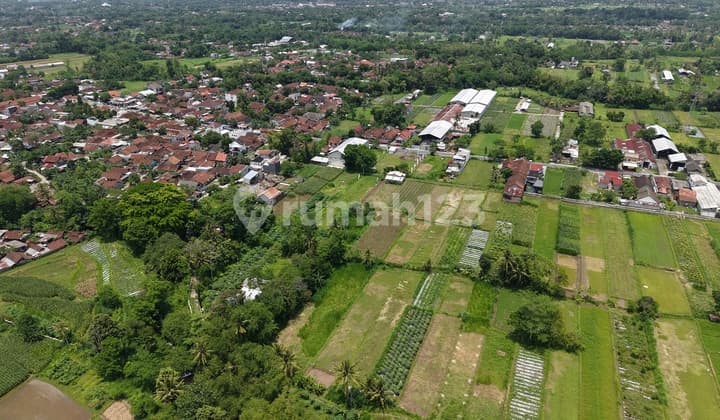 Tanah Sleman Tepi Jl Pandowoharjo View Sawah dan Gunung