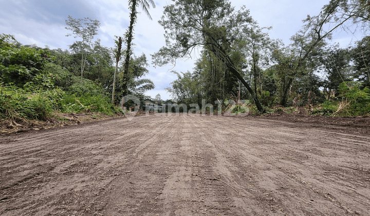 Tanah Shmp 500 Meter Spbu Selomartani ( Jl.pakem - Kalasan)