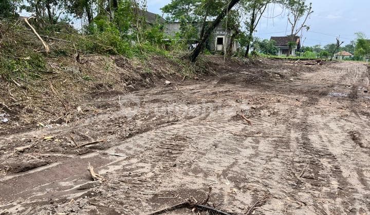 Tanah Sleman Strategis Shmp 500 Meter Spbu Selomartani