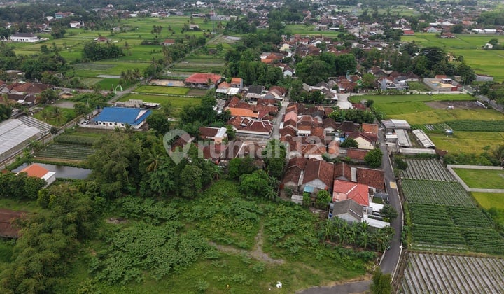 Tanah Murah Jogja Shmp, Dekat Stadion Maguwoharjo Sleman