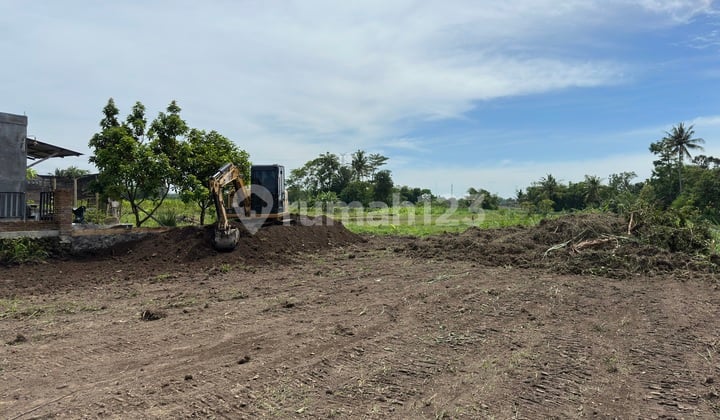 Tanah SHM Sleman Palagan Dekat Sch Hanya 5 Menit Tepi Jl Pandowoharjo
