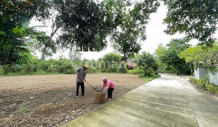 Tanah Dekat Ponpes Pandanaran, Jl Kaliurang, SHM Pekarangan