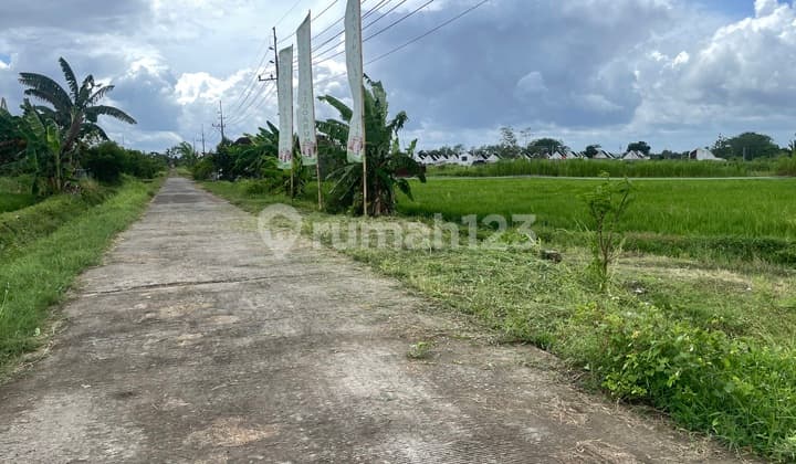 Sleman Barat Land Parcel, 2 Minutes from PKU Muhammadiyah Gamping