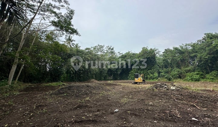 Tanah Rumah Jogja SHM Lokasi Favorit Dekat Sleman City Hall