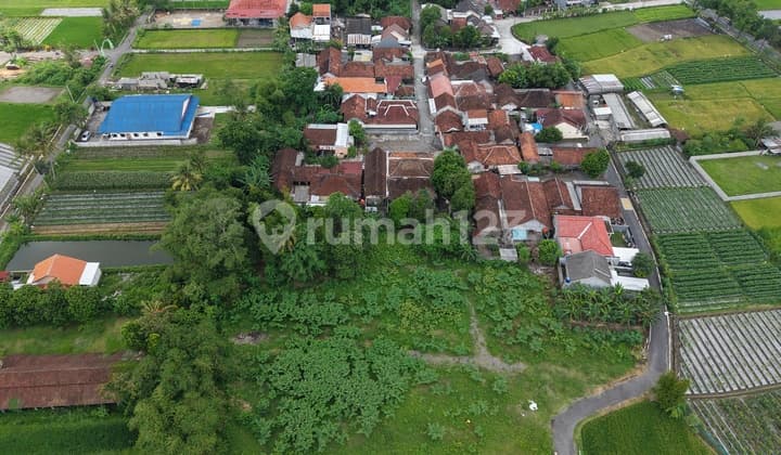 Tanah 3 Akses Utara Dawet Ringin Pak Bardi