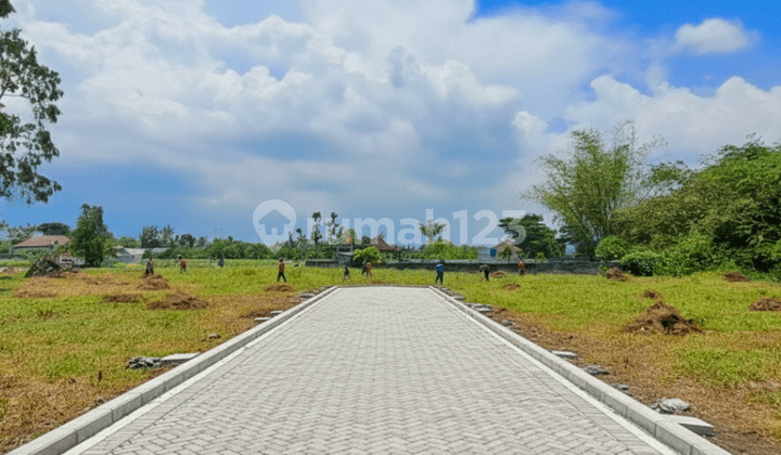Kavling Asri Pemandangan Sawah, Selangkah Dari Jalan Raya Selomartani