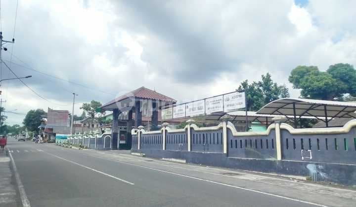 Tanah Jogja 3 Jutaan Cocok untuk Hunian dan Homestay