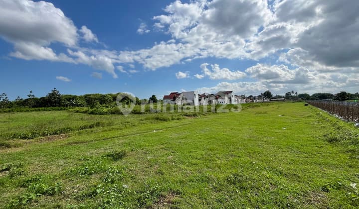 Tanah 3 Jutaan View Sawah Asri Dekat Kampus Umy