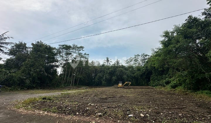 Lahan Dekat Sch Mall - Investasi Menjanjikan Area Pemda Sleman