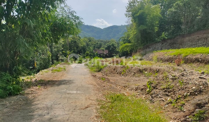 Lahan Strategis Dekat Area Wisata Hutan Pinus