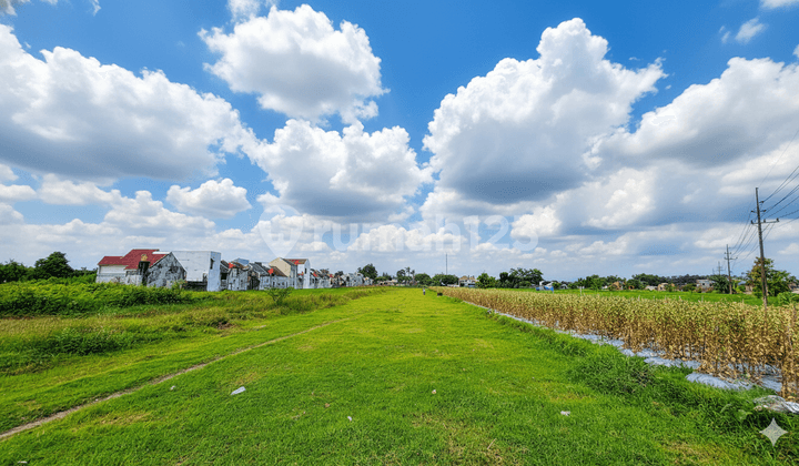 Tanah Harga 3,350 Jt/M2 Dekat Pasar & Kawasan Pendidikan Sleman
