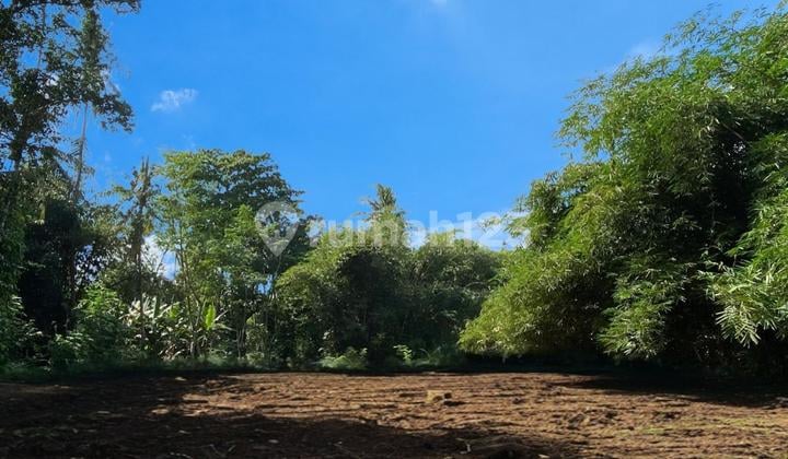 Tanah Murah Triharjo Sleman, Mulai 2,2 Jt/M² Saja!