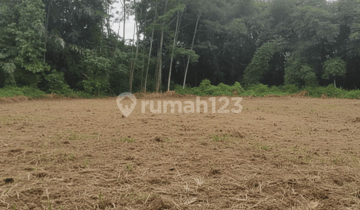 Tanah Sleman Dekat Jl. Magelang, Harga Terjangkau!