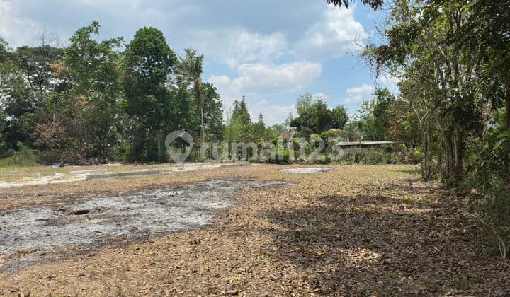 Kavling Usaha Strategis di Jalur Utama Jogja-Solo