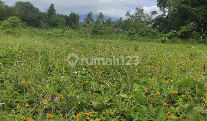 Tanah Strategis Kaliurang Pakem Dekat Kopi Klotok & Wisata Jeep