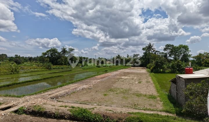 Strategic Investment Land Jejamuran Sleman