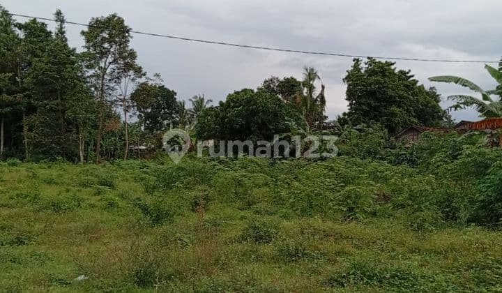 Kavling Zona Kuning Siap Bangun Dekat Maguwoharjo