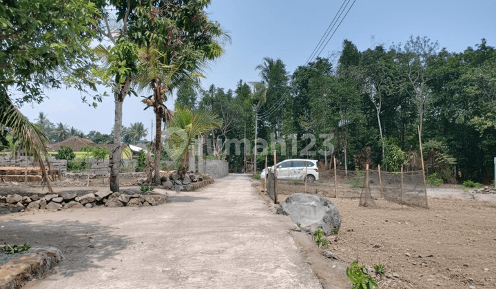 Jual Tanah Sleman, 4 Menit ke Sman 1 Ngemplak