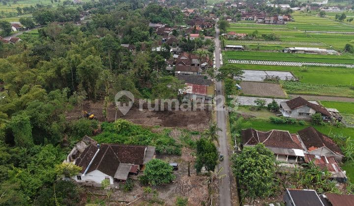 Tanah SHM Kalasan Mangku Jalan - 1 Menit Spbu Selomartani