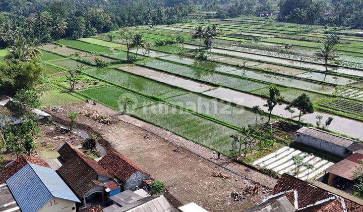 SHM Land in Pandowoharjo with Views of Rice Fields and Mount Merapi, Suitable for Homestay