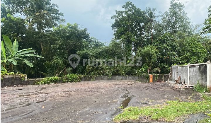 Tanah SHM Pekarangan 13 Menit Exit Tol Banyurejo
