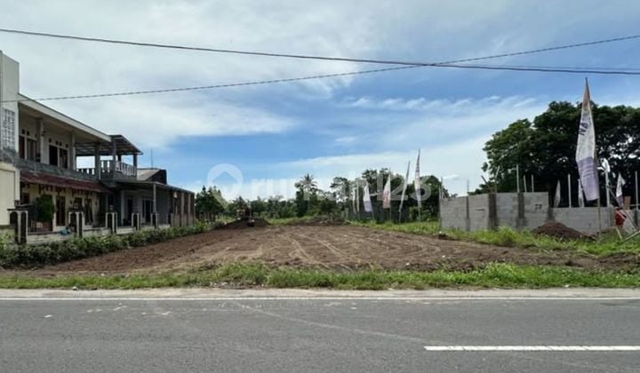 SHM Plot North Ringin Pandowoharjo Suitable for Investment