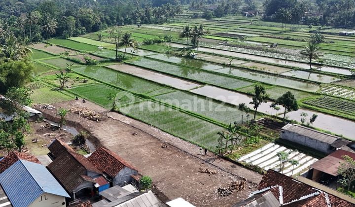 Tanah SHM Sleman Langka View Sawah dan Merapi