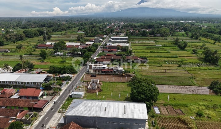 Tanah SHM Sleman Utara Lapangan Pandowoharjo