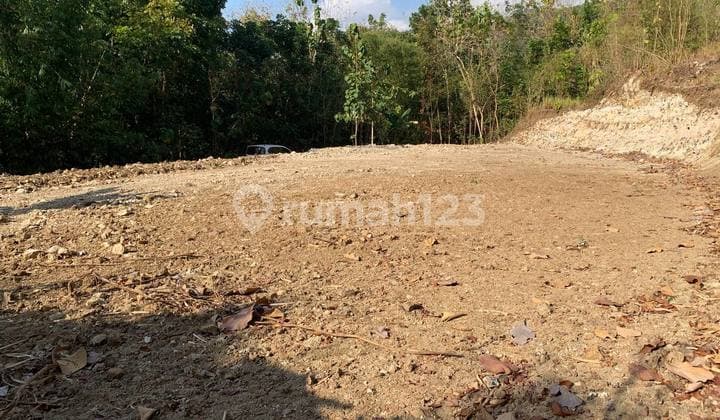 Tanah Pleret Bantul SHM 100 Juta, Cocok untuk Hunian!