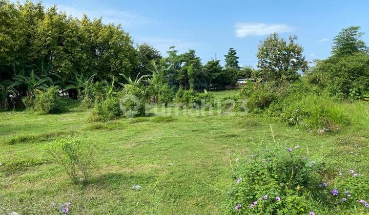 Roadside Land, 3 Minutes to Jogja City