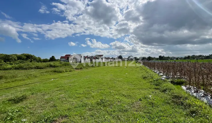 Cheap Land in Sleman, Al Azhar Area