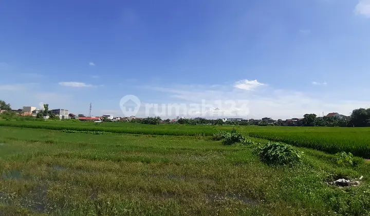 Strategic Freehold Land in Ambarukmo Plaza, City Center