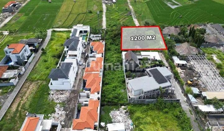 Dijual Tanah Premium Lokasi Umalas Bumbak Kerobokan