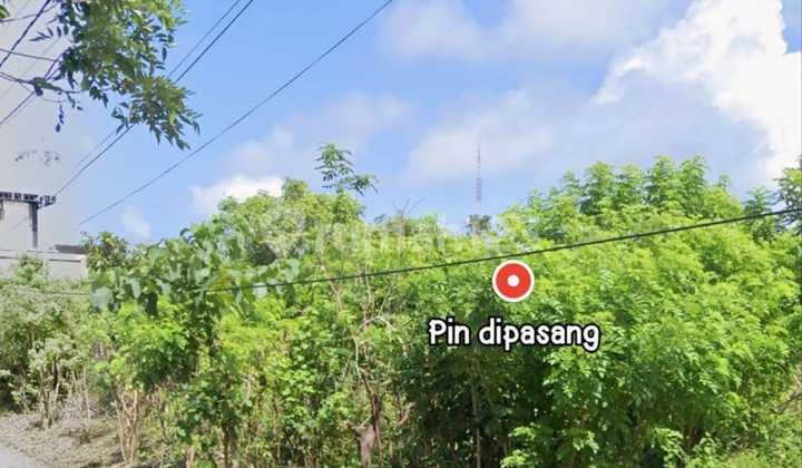 Land for Sale (Freehold) Below Market Price, Suitable for Subdivision