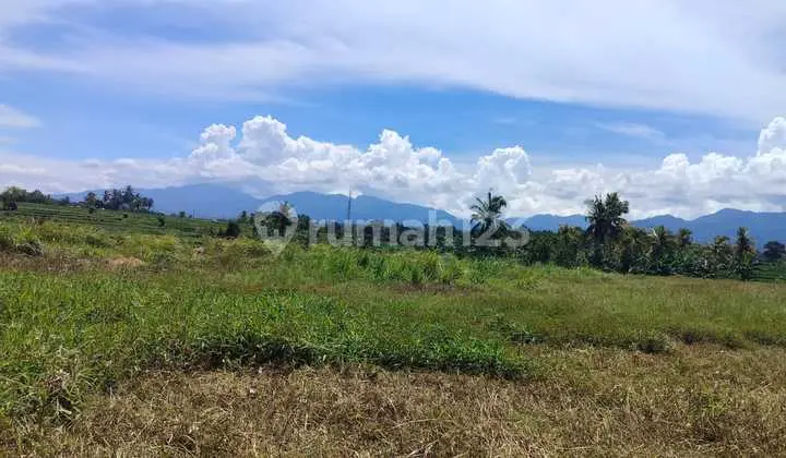 Tanah Jual Lokasi Yeh Embang