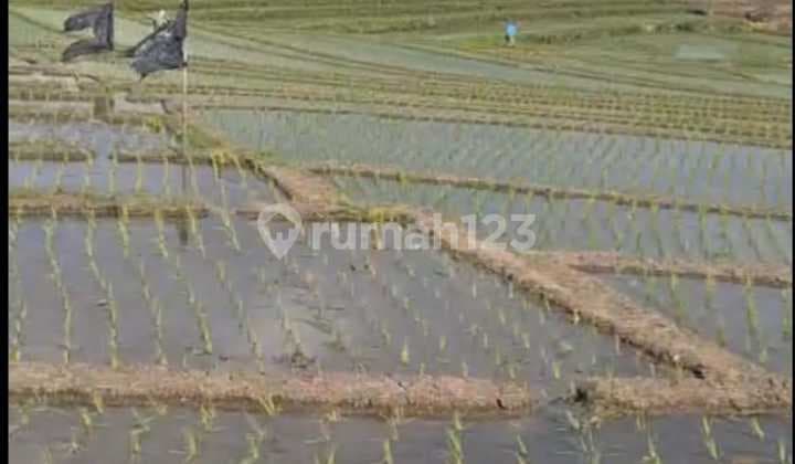 Land for Sale in Yeh Gangga Location