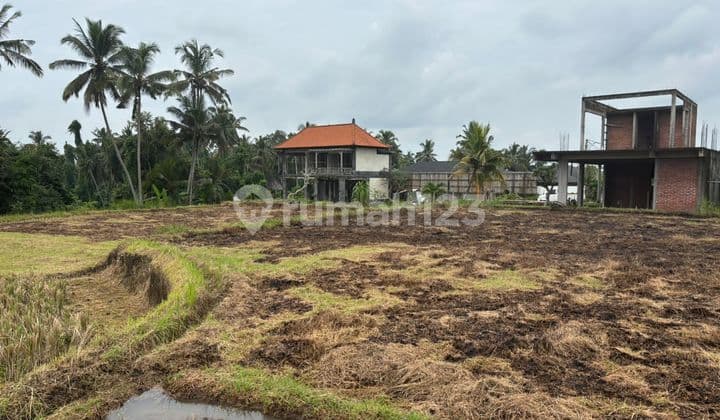 Tanah Jual Lokasi Pejeng