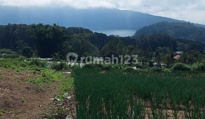 Tanah Jual Lokasi Candi Kuning