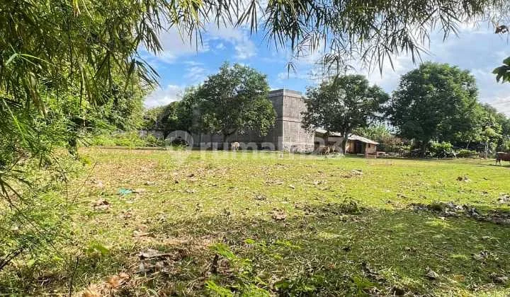 Jual Tanah Samping Kampus Unud Jimbaran Bawah Kuta Selatan