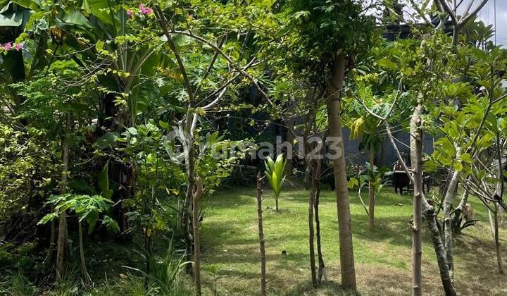 Tanah Bypass Jimbaran Belakang Mcd Jimbaran