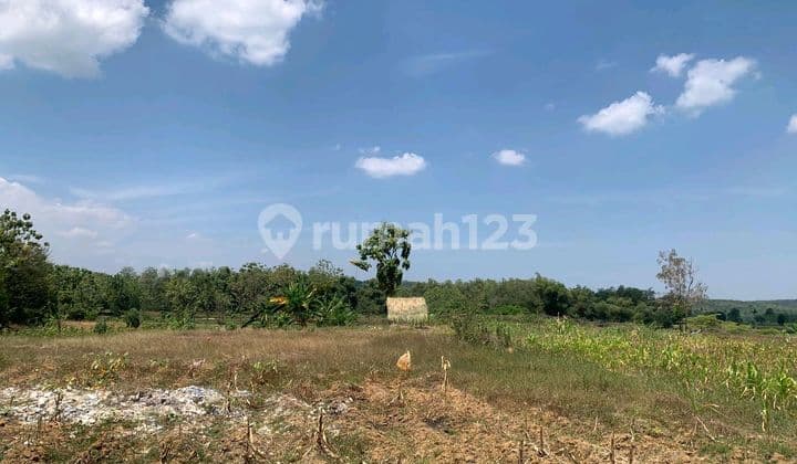 Tanah Shm No 280 Dan Shm No 278 - Jalan Raya Bulu Jatirogo