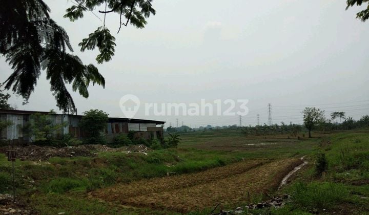 Land for Sale in Driyorejo, Gresik Land for Sale in Driyorejo, Gresik