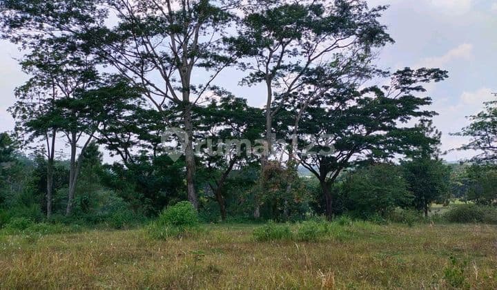 Jual Tanah Kavling Citraland Surabaya